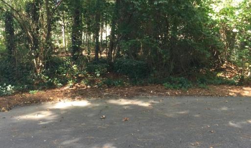 Front of Lot