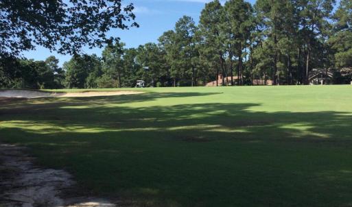 Golf Course View