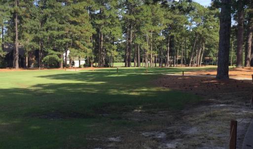 Golf Course View