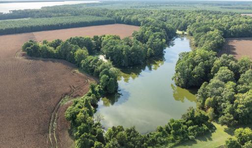 78-web-or-mls-DJI_0793