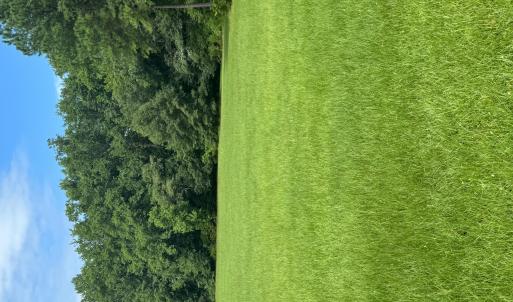 Fabulous 3 acres