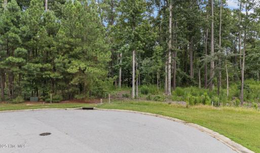 2-web-or-mls-DJI_20250812113551_0148_D