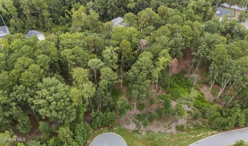 3-web-or-mls-DJI_20250812113610_0149_D