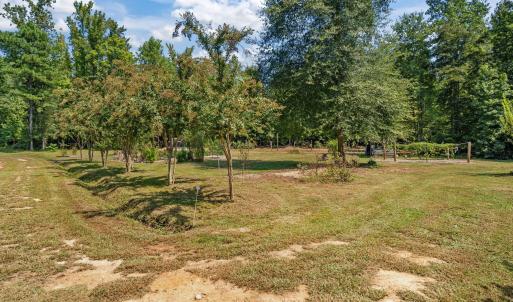 11-web-or-mls-DSC07880