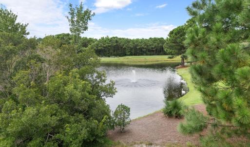 3258MossHammockWynd-86