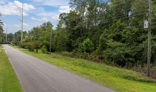 1-web-or-mls-IMG_1156