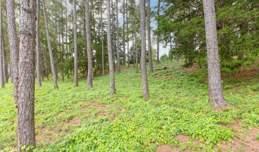 4042 Barnes Bluff-15