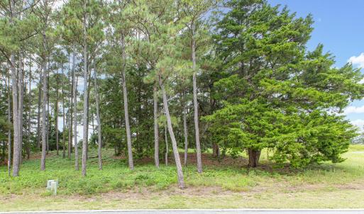 4042 Barnes Bluff-14