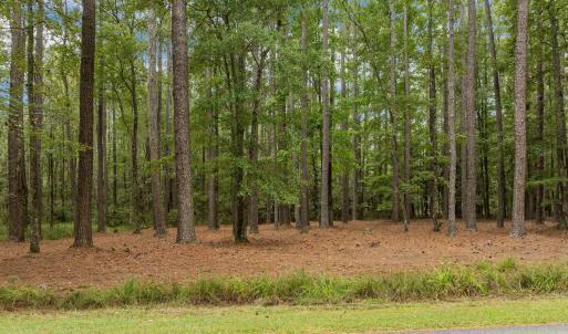 4-web-or-mls-19-print-DJI_0087 (1)