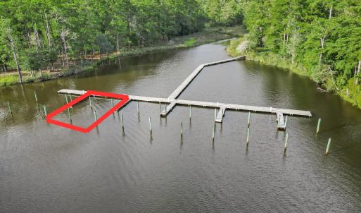 2_your paragraph text (17).png