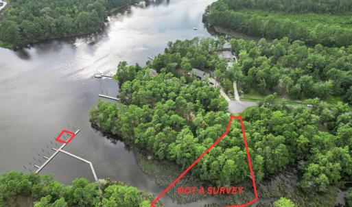 32_your paragraph text (8).png