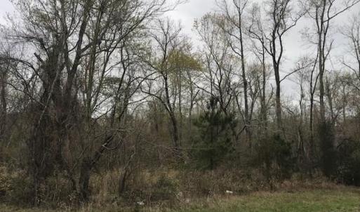 Photo #5 of Lot 95-77 Crocker Hill, Elizabeth City, NC 26.8 acres