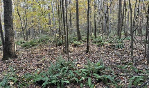 20251109_203419125_iOS