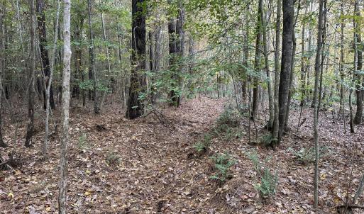 20251109_205125971_iOS