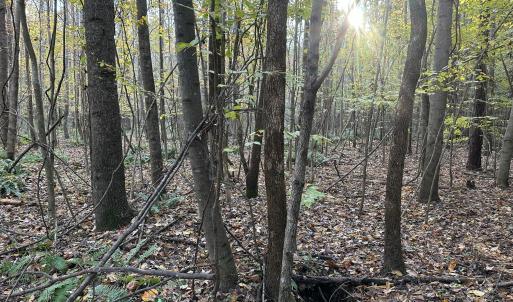 20251109_203424025_iOS