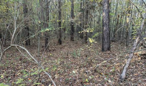 20251109_203429012_iOS