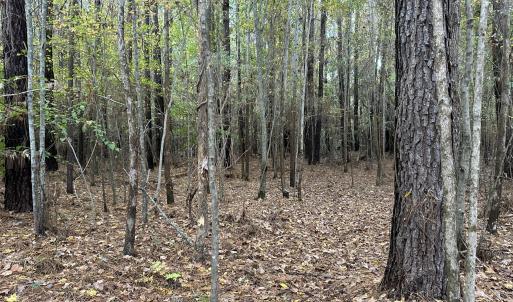 20251109_205129025_iOS