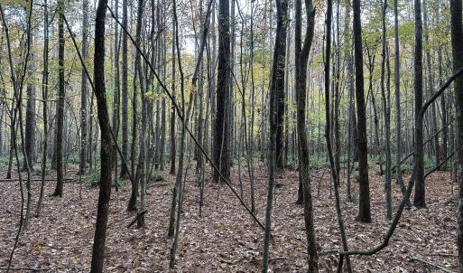 20251109_205121467_iOS