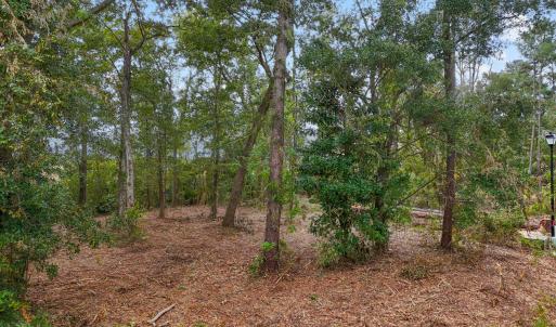 BrookhavenTrailLot - 3