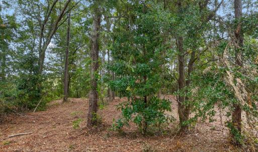 BrookhavenTrailLot - 1