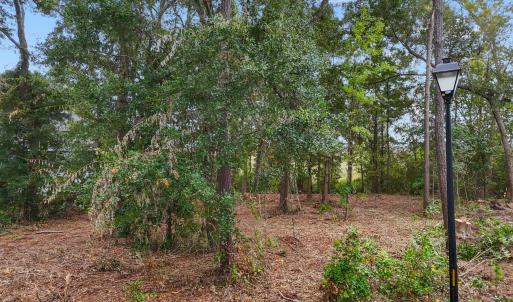 BrookhavenTrailLot - 2