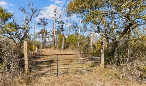 1-web-or-mls-1S3A7896