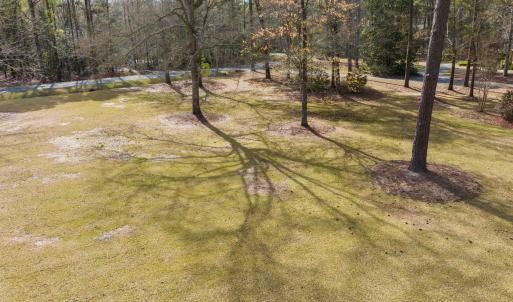 5-web-or-mls-DJI_0901
