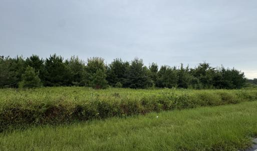 IMG_2748