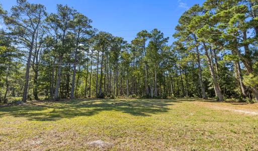 220 Nelson Neck Rd Street View