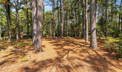 24-web-or-mls-DSC09742