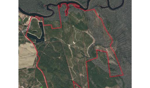 Chad Gis photo