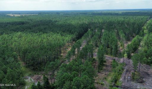 dji_fly_20250724_031654_95_1753310046599