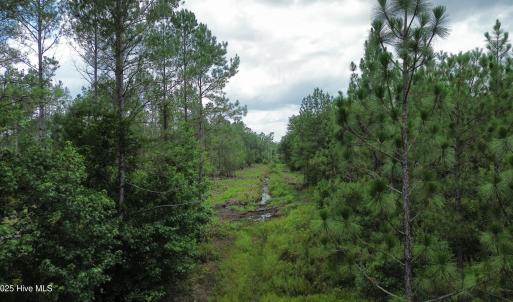 dji_fly_20250724_021808_79_1753310054285