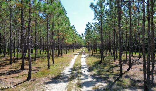 dji_fly_20250917_234354_110_175814358089