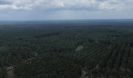 dji_fly_20250724_021654_76_1753310054990