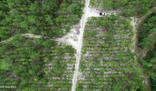 dji_fly_20250724_021604_73_1753310056090