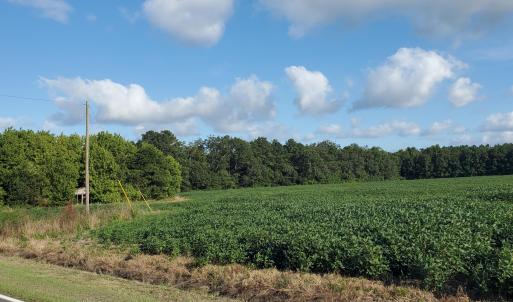 Lot view towards left