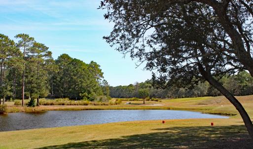 Tiger's Eye Hole 8 Pond