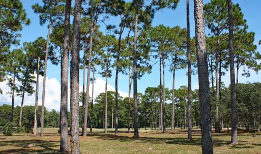Barrington Place Homesite