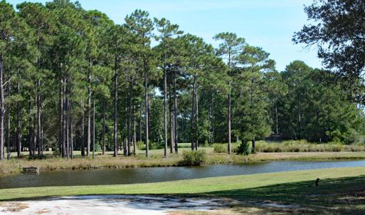 Pond and Wildlife View