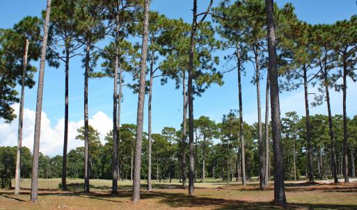 Barrington Place Homesite on Tiger's Eye