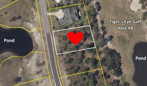 586 Barrington Aerial