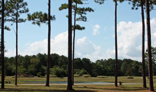 Front of Homesite to Road and Pond