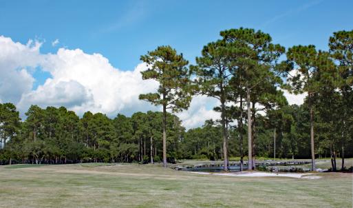 Expansive Golf Views