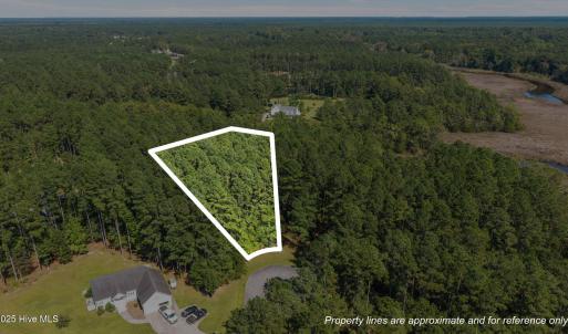 105 Sumter Ct. Aerial w/outline