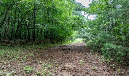 4833-Woods-3