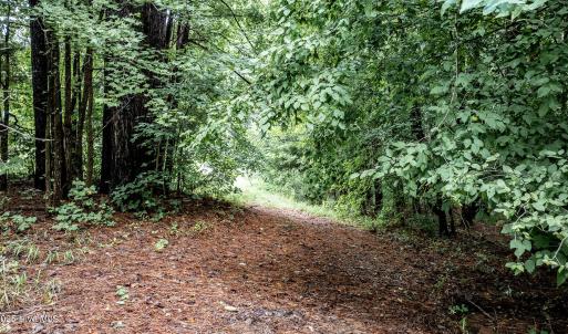 4833-Woods-4