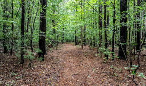 4833-Woods-1