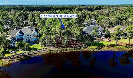 3158MossHammockWynd - 22