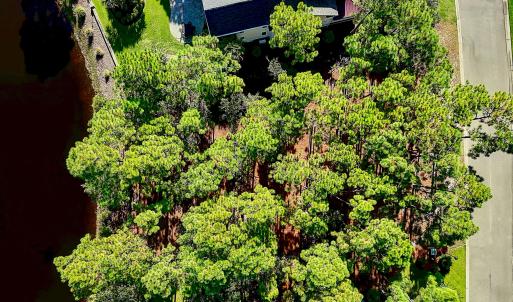 3158MossHammockWynd - 31